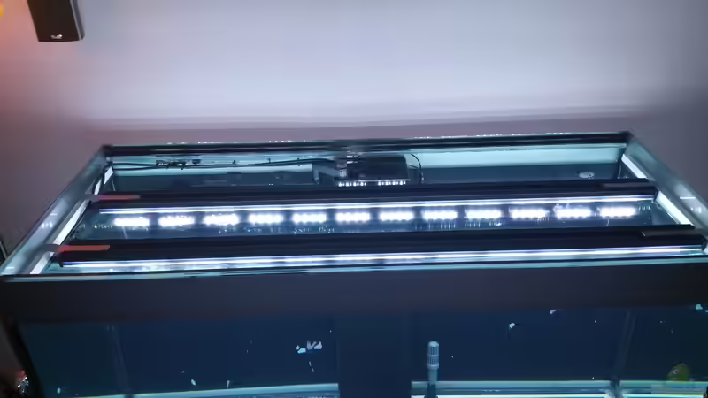 03.12.15  Mitras Lightbar mit modifizierten Z Holdern zum Flacheisen aber so passt von foxi (30)