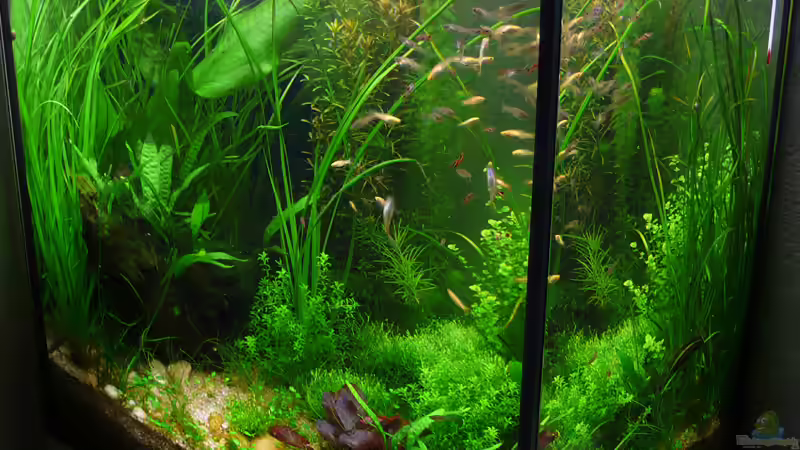 03.12.2009 Isometrische Ansicht von Torsten Franke (3)