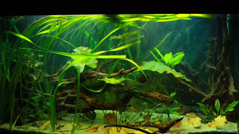 03.12.2012 von Koehler (1)