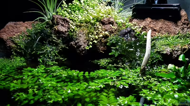 03 2011 - Dekoration von bergfrau (20)