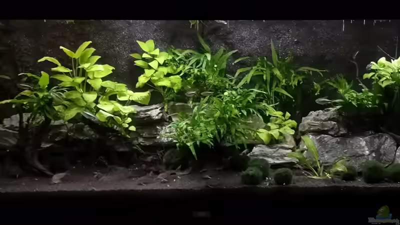 03.2026 von Mark H. (19)