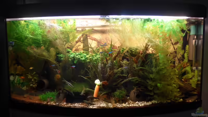 04. Feb 2016 von Mathias Haeussler (1)