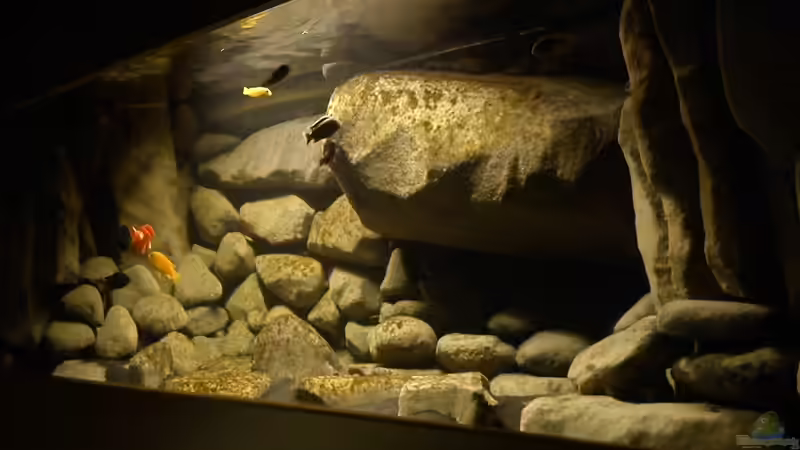 04.01.11 von LaEy (27)