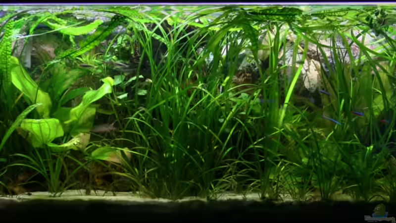 04.01.2010 von NlLs M0nt (4)