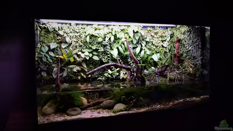 04.01.2020 von Junglist (1)