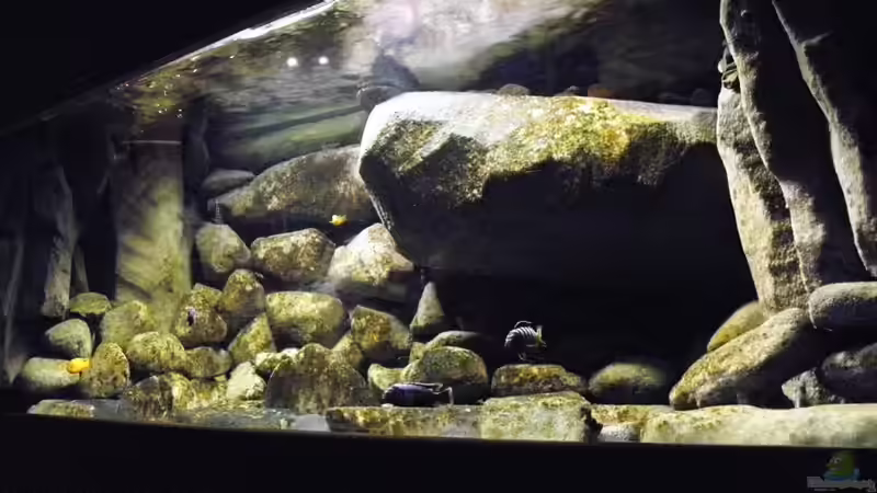 04.02.11 von LaEy (33)