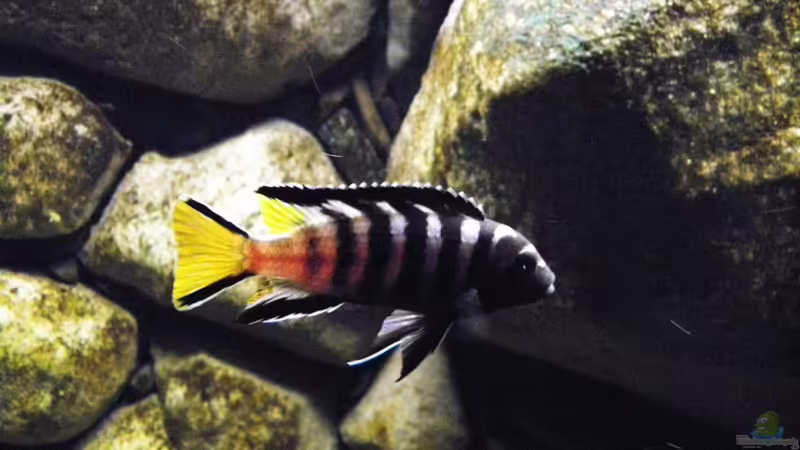 04.02.11 von LaEy (93)