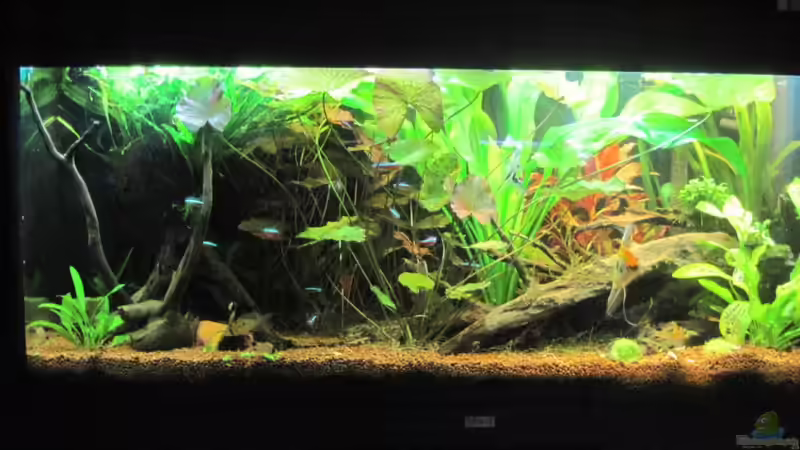 04.02.11 von Opodeldok (3)