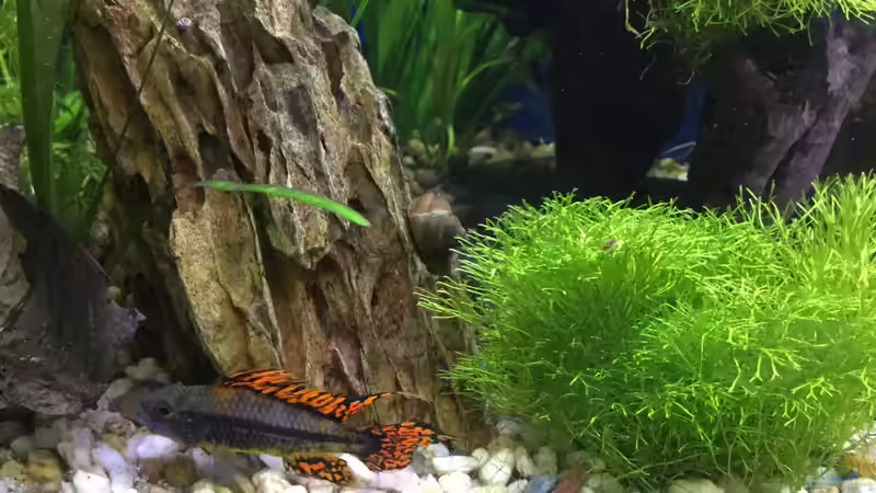 04.02.16 von .Andreas. (124)