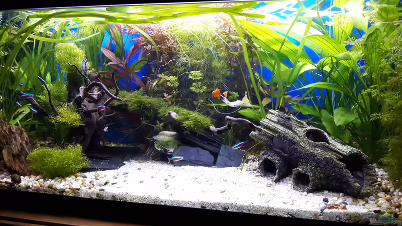 04.02.16 von .Andreas. (45)