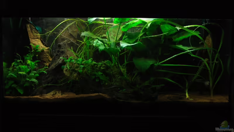 04.02.2013 von Koehler (14)