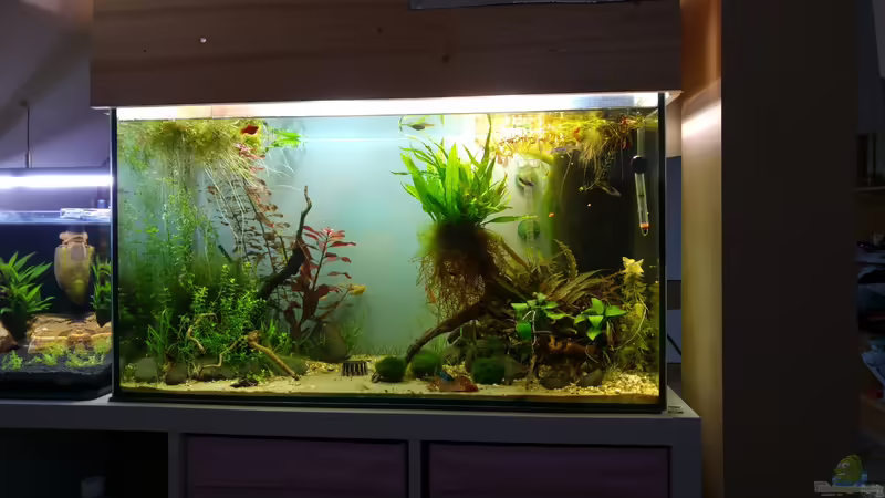 04.02.2016 von KleinerPlaty (1)