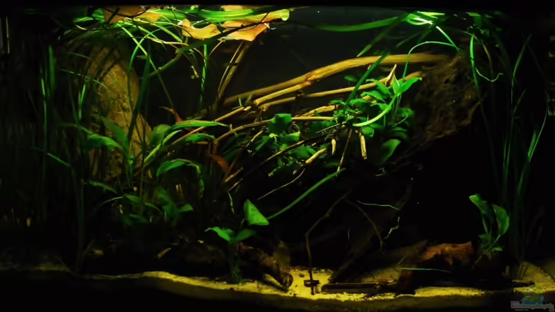 04.03.2011 von Benjamin Hamann (1)