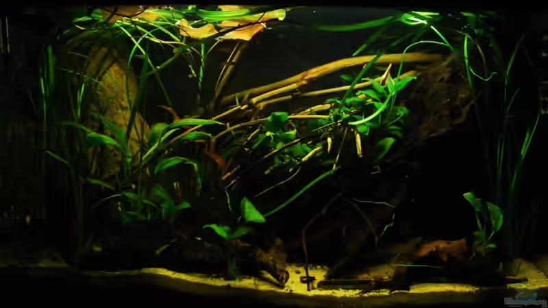 04.03.2011 von Benjamin Hamann (15)