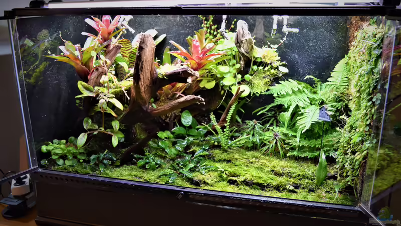 04.03.2020 von Junglist (13)