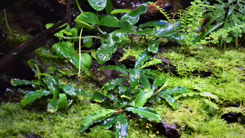 04.03.2020 von Junglist (47)