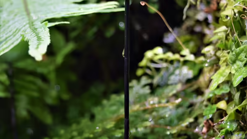 04.03.2020 von Junglist (57)