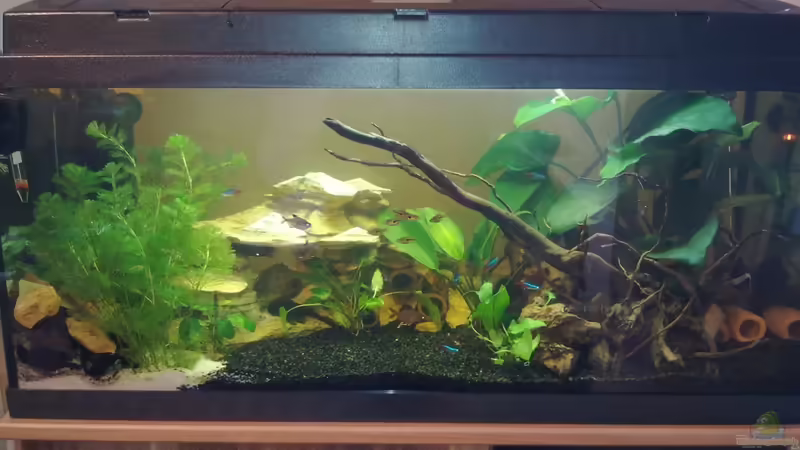 04.04.2011 von Koehler (2)