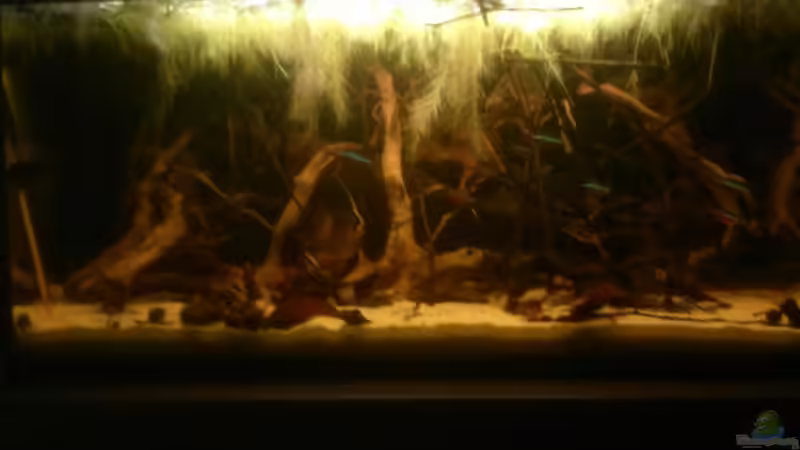 04.04.2015 (Blöde Handykamera) von NonTakt (1)