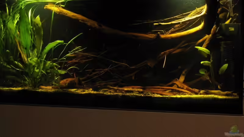 04.04.2017 schräg von rechts von der Theoretiker (10)