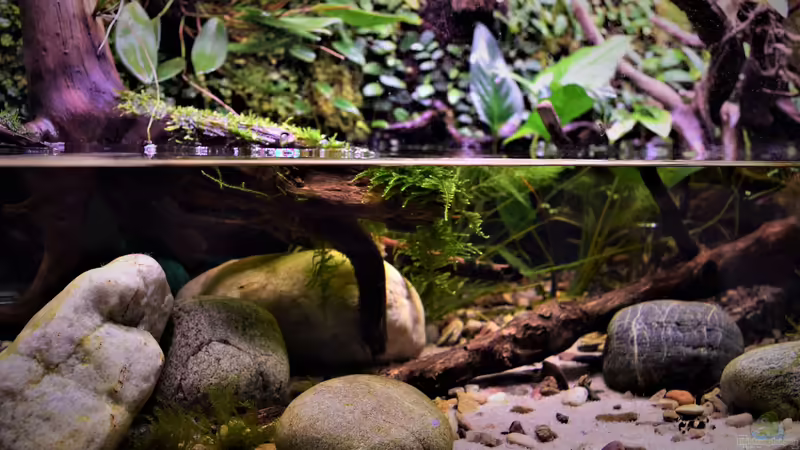 04.04.2019 von Junglist (9)