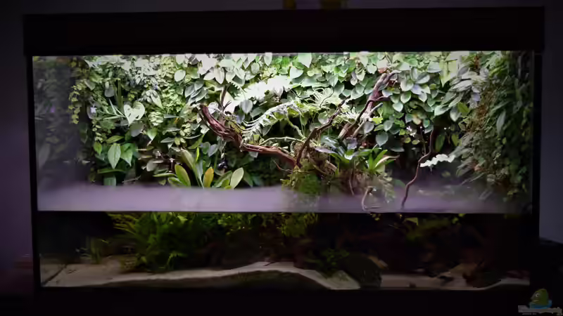 04.04.2022 von Junglist (6)