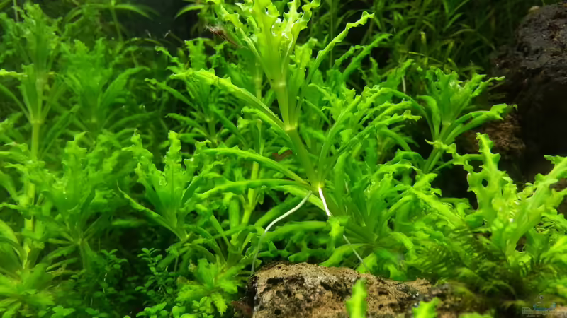 04.05.2013 von M to the ilan (20)