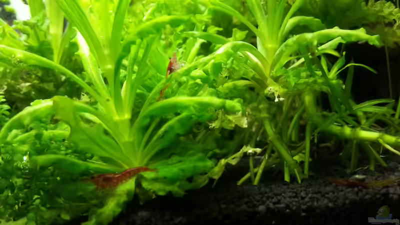 04.05.2013 von M to the ilan (47)