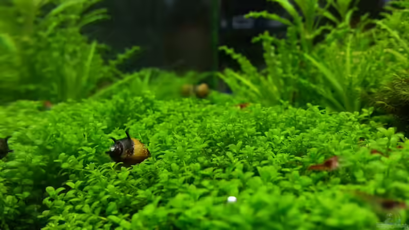 04.05.2013 von M to the ilan (48)