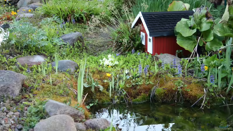 04.05.2015 von Susanne Axt (16)