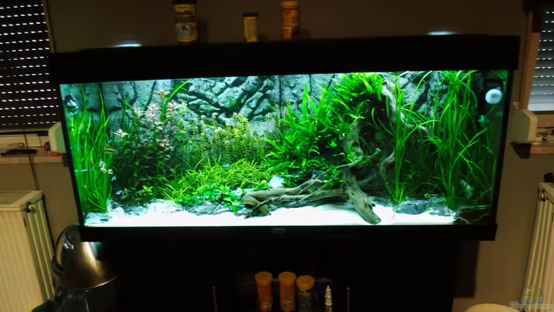 04.05.2016 von Jah Gaid (10)