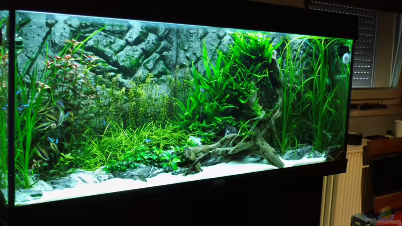 04.05.2016 von Jah Gaid (11)