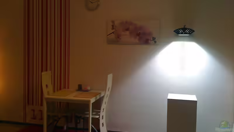 04.06.10 von Hai Dang Ngo (8)