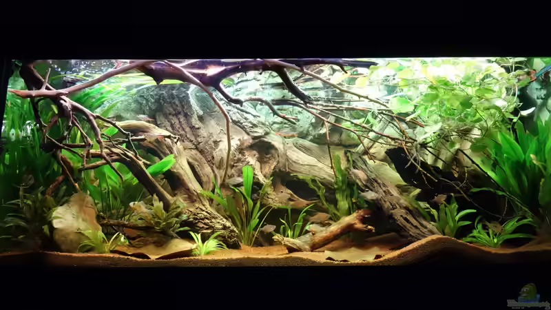 04.06.2017 von Atacama (7)