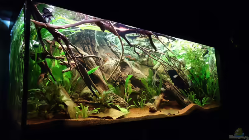 04.06.2017 von Atacama (8)