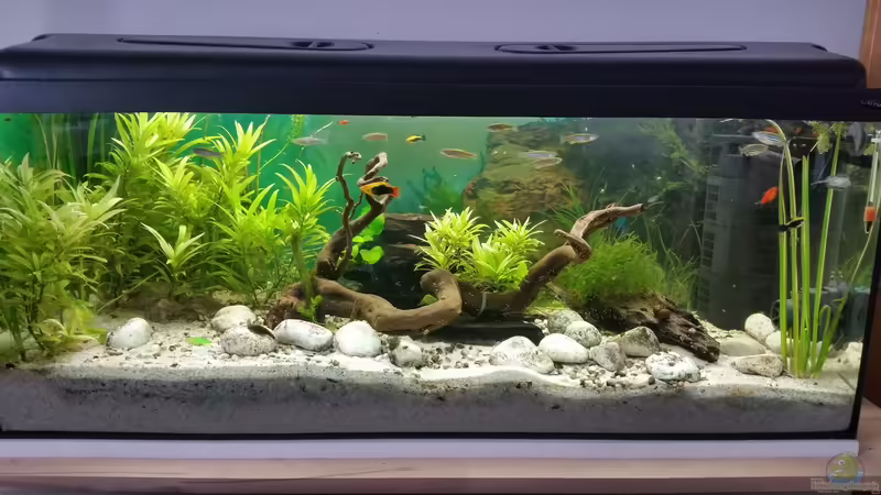 04.07.2016 von SvenDerGroße (3)