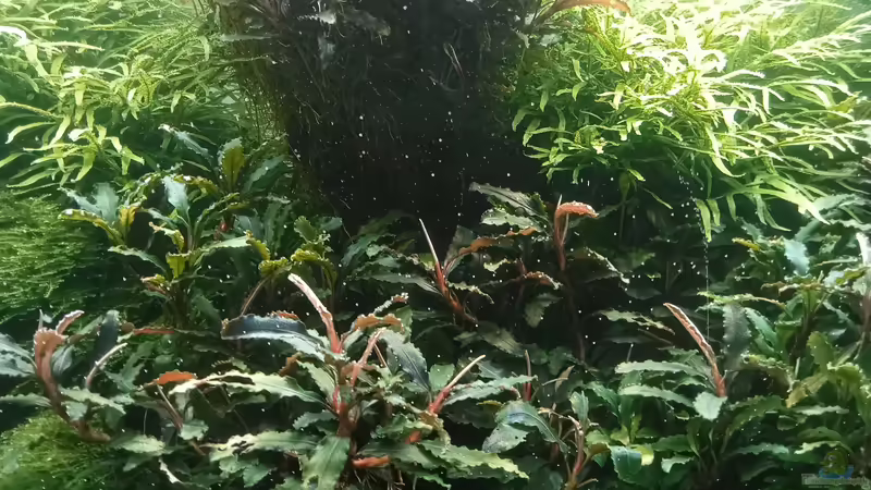 04.07.2023 von Mr-Shrimp (38)