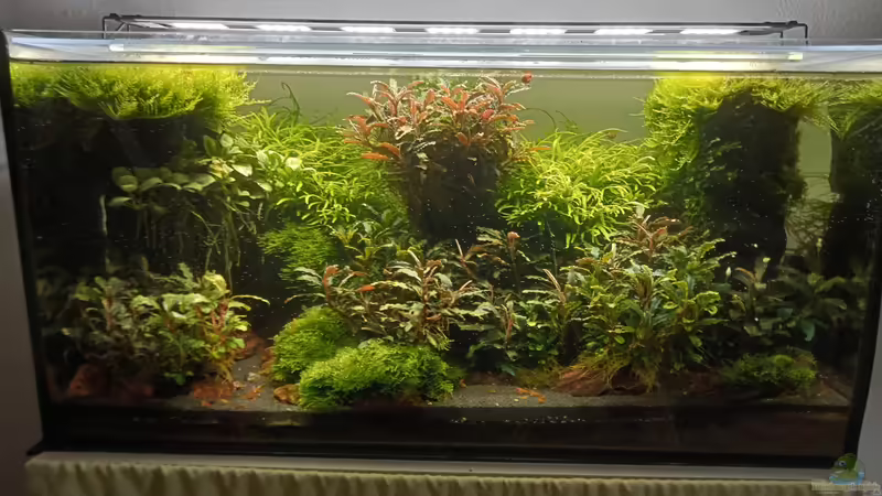 04.07.2023 von Mr-Shrimp (41)