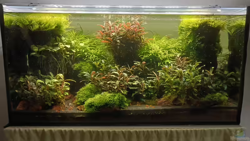 04.07.2023 von Mr-Shrimp (42)