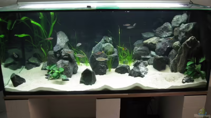 04.08.09 von Andi*Sehlde (16)