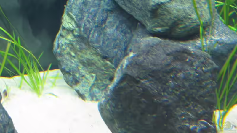 04.08.09 von Andi*Sehlde (31)