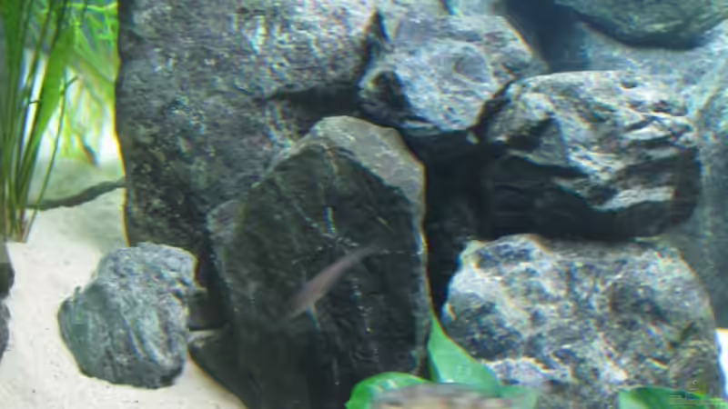 04.08.09 von Andi*Sehlde (32)