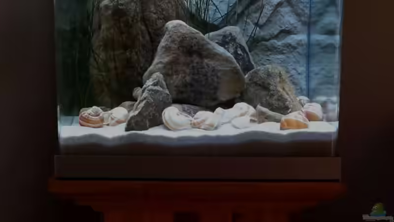 04.08.14 von Sambia (15)