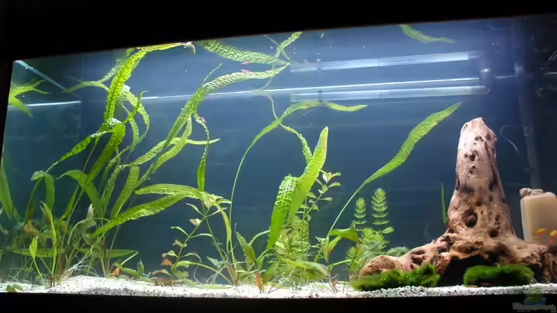 04.08.2008 von Matthias (2)