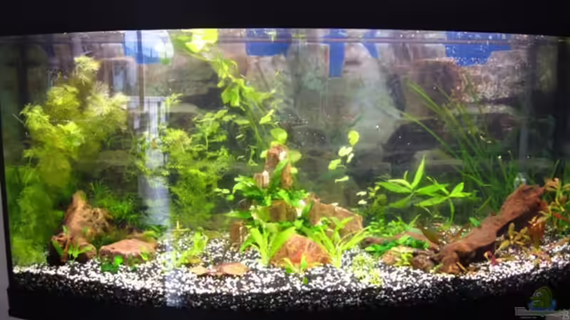 04.08.2010 von DanBri (1)