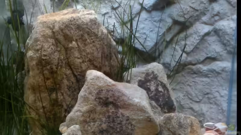 04.08.2014  von Sambia (14)