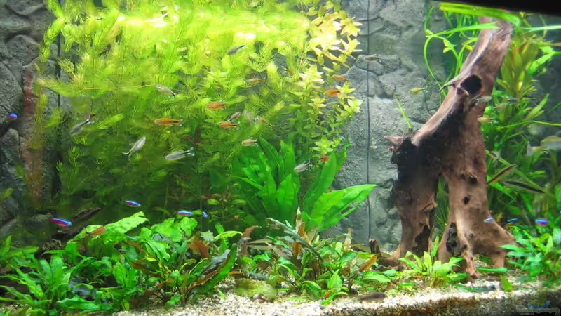 04.09.11 von Thorbenhendrik (7)