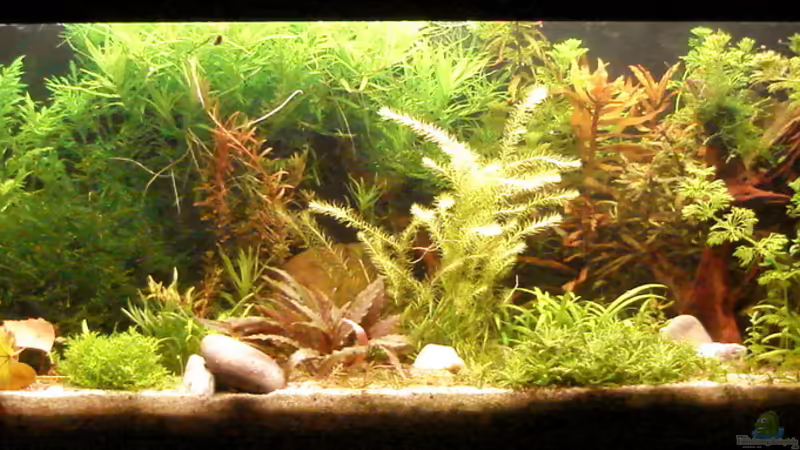 04.09.2010 von Susanne Kruse (7)