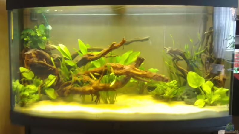 04.09.2011 von Koehler (6)