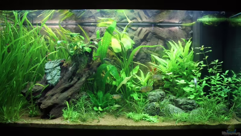 04.09.2011 von Springer (10)